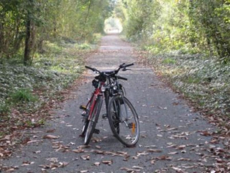 Voie verte, petites routes de Brix à Bricquebec et sérénité normande - Brix