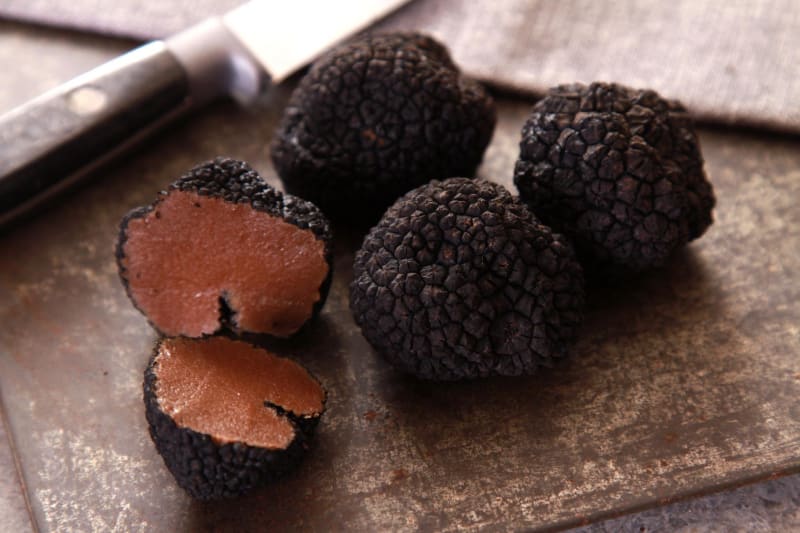 Coteaux périgourdins et goûter la truffe noire - Les Coteaux Périgourdins