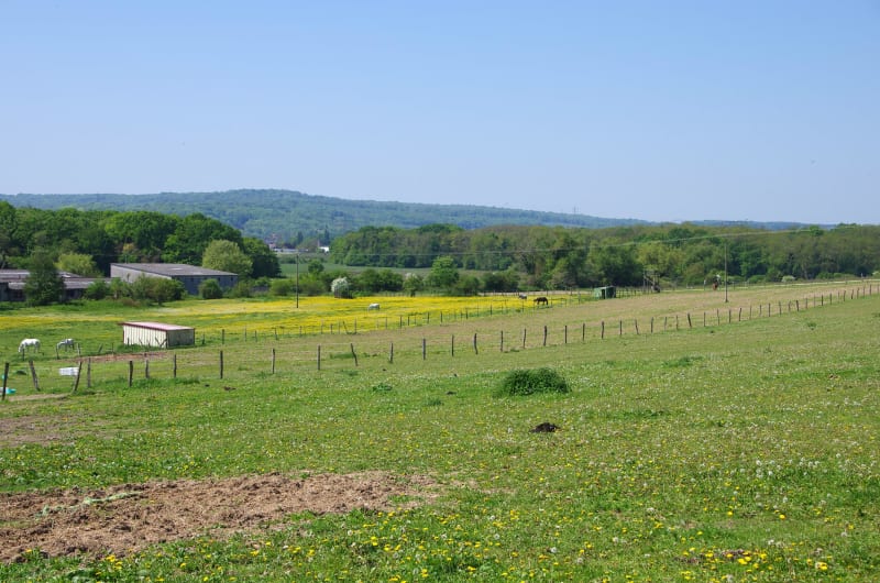 Asnières-sur-Oise et charme fou du VTC en forêt de Carnelle - Asnières-sur-Oise