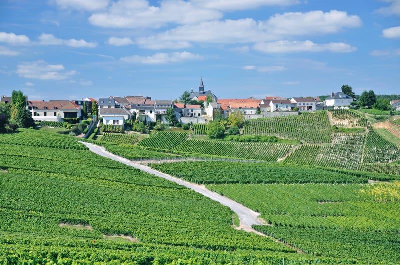 Epernay et bulle de plaisir au sein d'une nature généreuse - Epernay