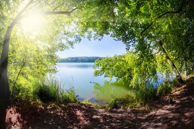 Tour du lac d'Aureilhan - Merquedey, Mimizan