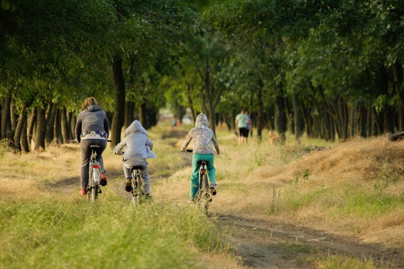 Tour des polders de Roz-sur-Couesnon et panoramas maritimes - Roz-sur-Couesnon