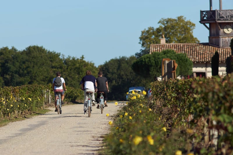 Marsas et petite escapade dans les parcelles viticoles - Marsas