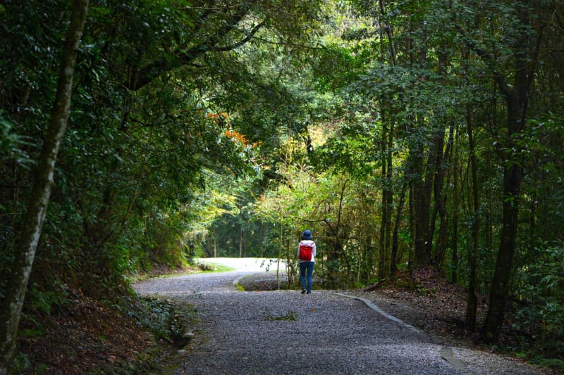 Une boucle au carré à VTT au Barp - Le Barp