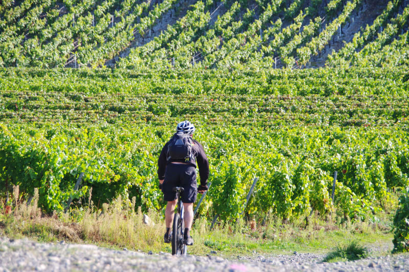 Carmasac à vélo et son Bouchon bordelais - Carmasac