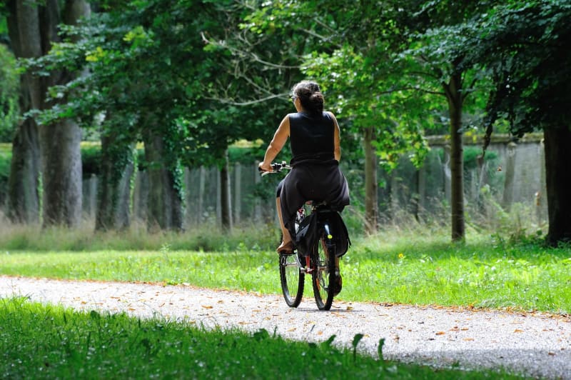 Marais et palombes à vélo depuis Labarde - Labarde
