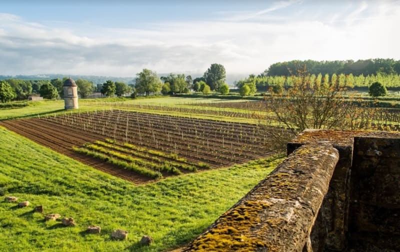 Circuit champêtre à VTT à Castres-Gironde et sentir la fougère - Portets