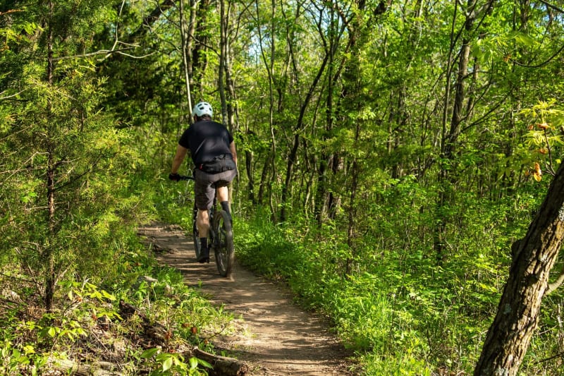 Découvrir à VTT La Ferté-Alais et sa campagne multicolore - La Ferté-Alais