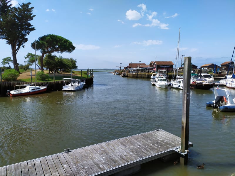 Immersion à Lanton dans les pinèdes et beauté du bassin d'Arcachon - Lanton