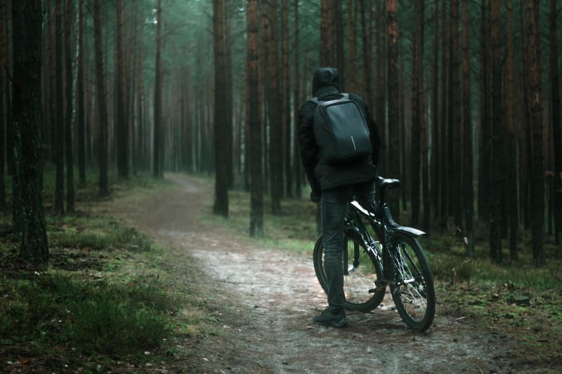Forêt de Coudraye et sa somptueuse balade à vélo - La Ferté-Alais