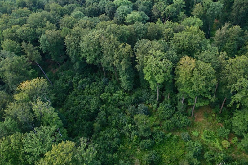 Forêts savoyardes et rando sauvage vers Val Pelouse - Arvillard