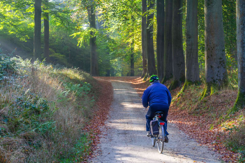 Balade à vélo entre deux vallées et le Vercors sous nos yeux - Saint-Pierre-de-Chérennes