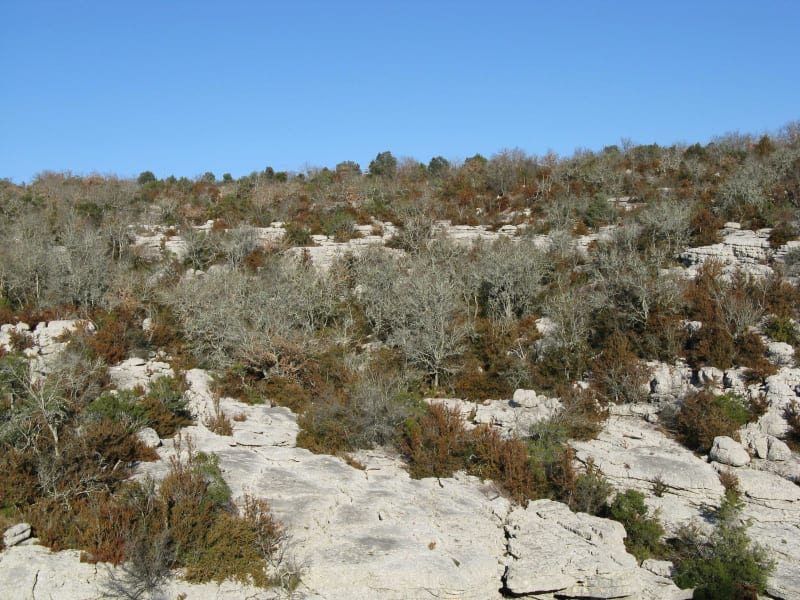 Ontspannende wandeling in Calas en rond het Réaltor-bekken - Le Clos des Prieurs, Calas