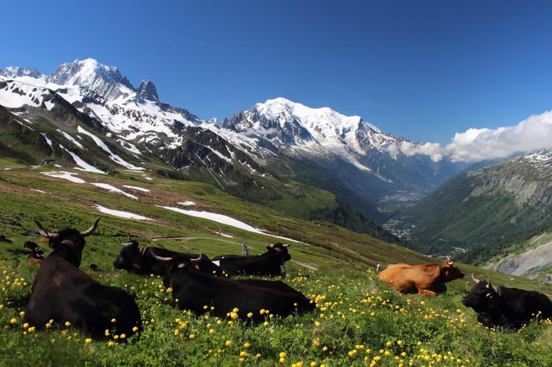 Sommet du Mont Chéry aux Gets et vision de rêve - Les Gets