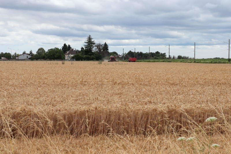 Verneuil-l'Etang à VTT et clé des champs dans la Brie - Verneuil-l'Étang