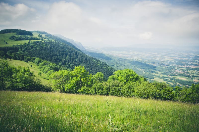 Excursion à la découverte des meulières du mont Vouan - Fillinges