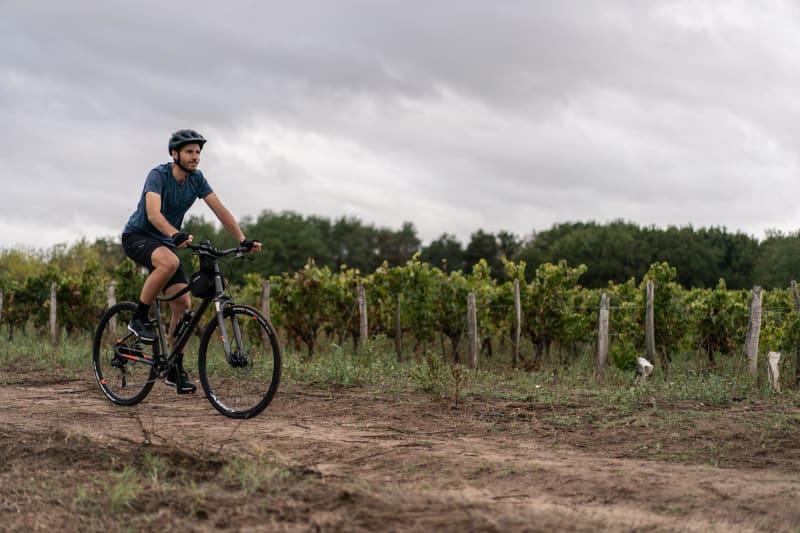 À travers les coteaux de Bourgueil et le long de la Loire - Bourgueil