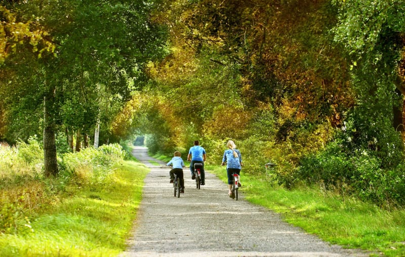 Parenthèse apaisante à Béhémont et bords de la Loire à vélo - Bréhémont