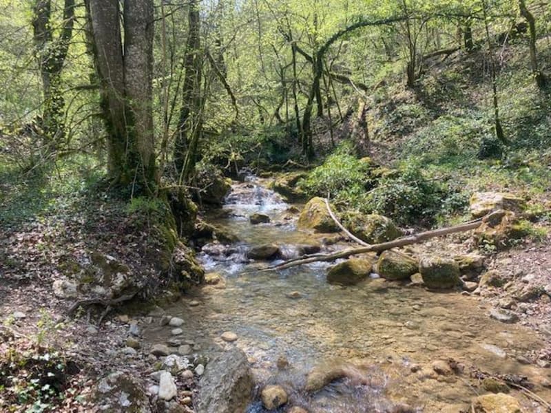 Balade en Vtt facile dans le Royans - Beauvoir-en-Royans