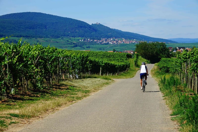 Vélo et vignoble girondin d’Escoussans à Soulignac - Escoussans
