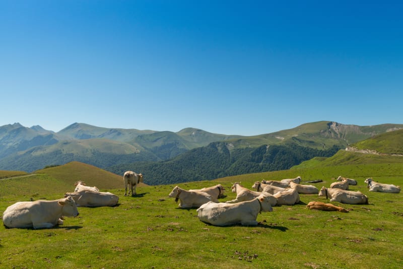 Gave de Larrau, Larrau en Puerto de Larrau... op de fiets - Larrau