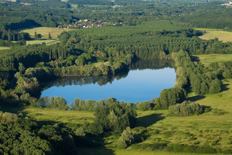 Val d'Essonne et douces effluves boisées - Cerny