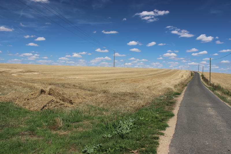 Artenay et mettre son grain de selle au cœur de la Beauce - Artenay