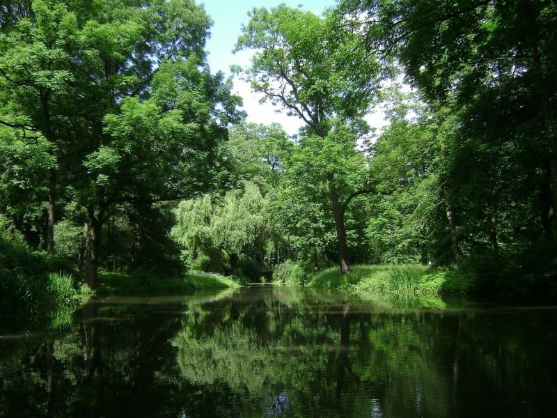 Boucle aux cent étangs à VTT depuis Châtonnay - Châtonnay