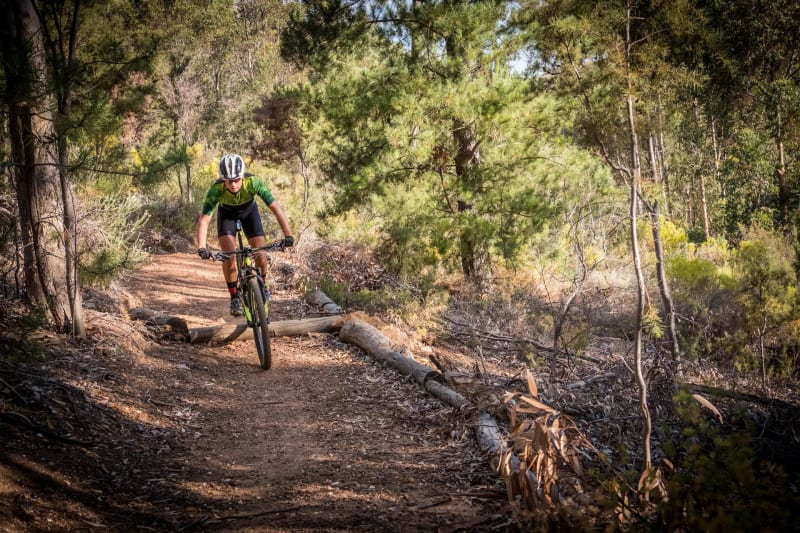 Découverte d'un haut-lieu de la Résistance à VTT - La Chapelle-en-Vercors
