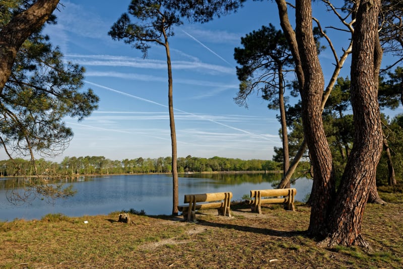 Etang de Bellebouche et balade apaisante en Brenne - Mézières-en-Brenne
