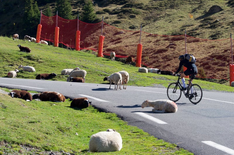 Baskenland en op weg naar Spanje - Licq-Athérey