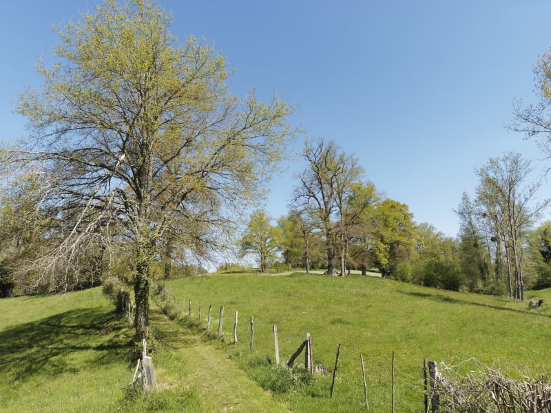 Lurcy-Lévis et en roue libre dans le bocage bourbonnais - Lurcy-Lévis