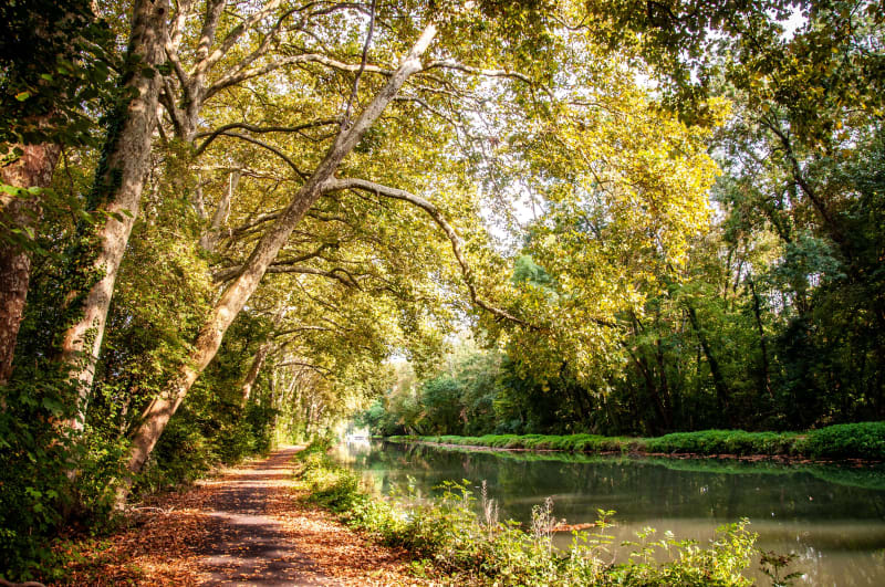 Vertrek vanuit Plaimpied voor een wandeling langs het kanaal - Plaimpied