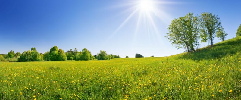 Mise au vert sur la boucle de la Ferté-Vidame - La Ferté-Vidame