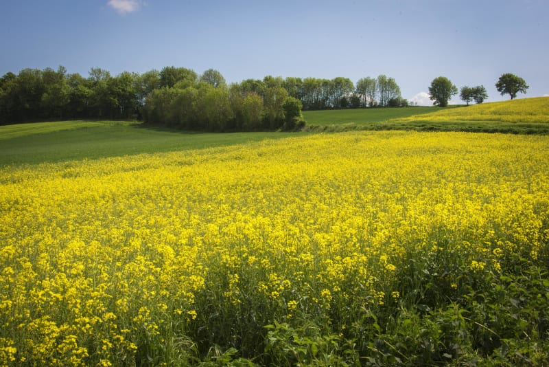 Liancourt et excursion à VTT dans une nature complice - Liancourt