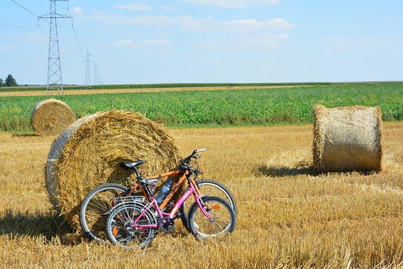 Évasion familiale à VTT à deux pas de Boulogne-sur-Mer - Desvres