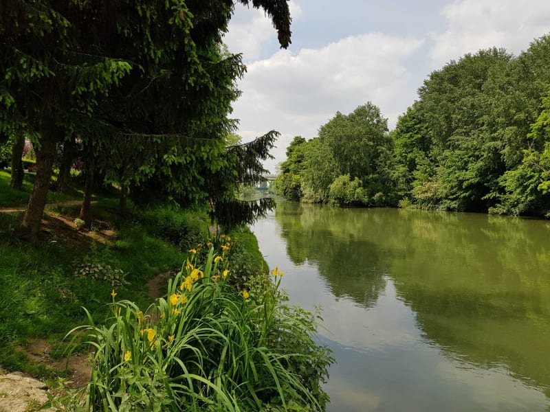 Ecrins de verdure et rivière apaisante à VTT depuis Torcy - Bussy-Saint-Georges