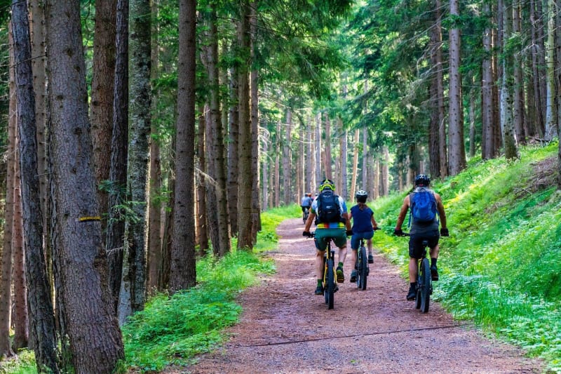 Forêt de Saint-Germain à VTT et son riche patrimoine - Achères