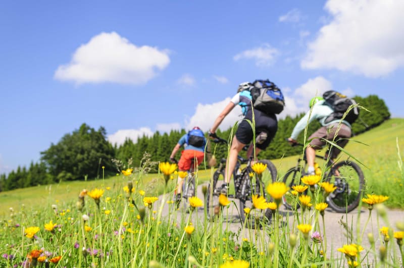 Au pied des Faisses du Géant à VTT - Clelles