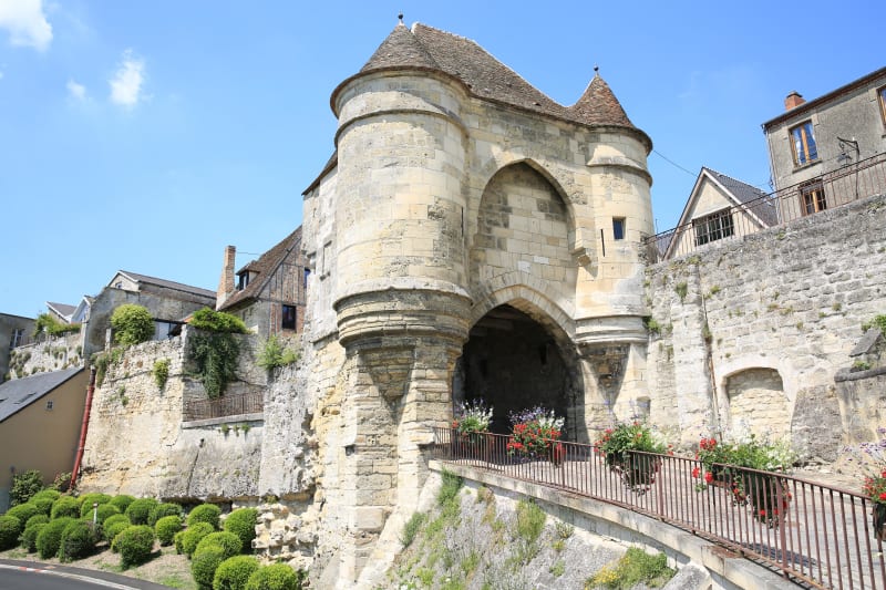 Découverte du patrimoine de Laon et cueillette sauvage - Laon