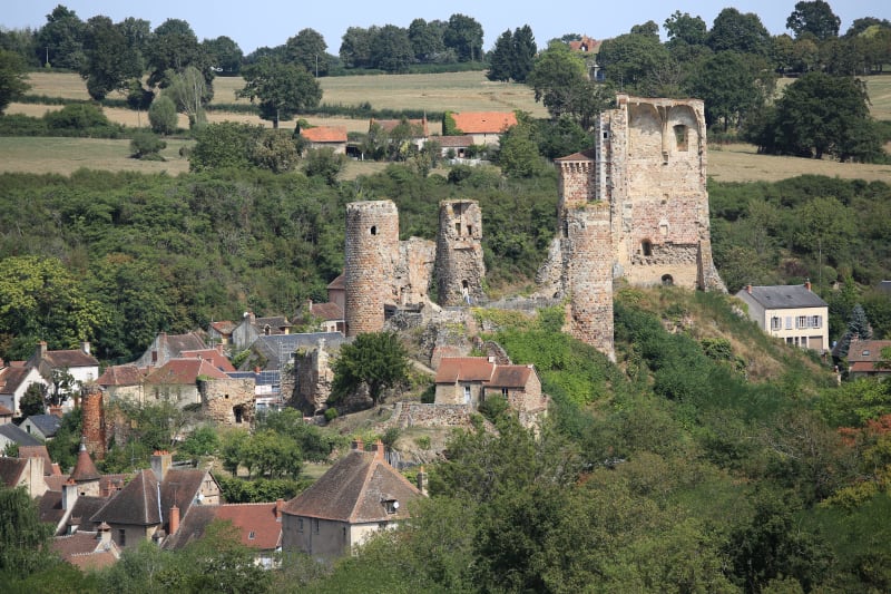 Hérisson et charmes fous d'une randonnée dans l'Allier - Hérisson