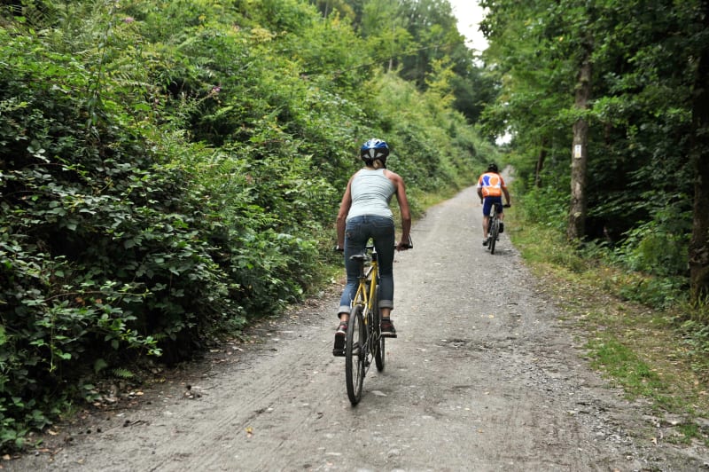 Forêt de L'Hautil et bain de nature tonifiant à VTT - L'Hautil