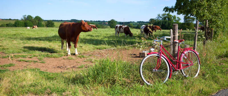 Boucle du Meu, circuit vélo vachement joyeux - Saint-Malon-sur-Mel