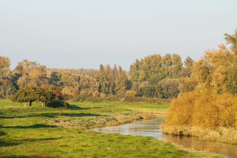 Excursion à Beaurainville et au fil de la Canche à vélo - Beaurainville