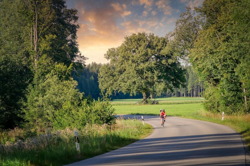 Cœur du parc naturel d'Opale, ses ruisseaux et ses forêts - Licques