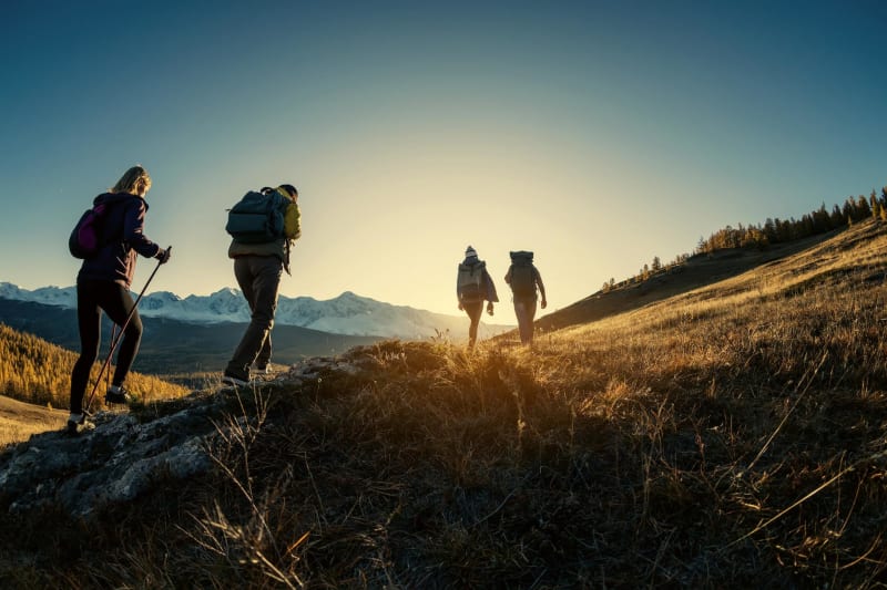 Escapade entre bois et plaines depuis Valmorel - Les Avanchers-Valmorel