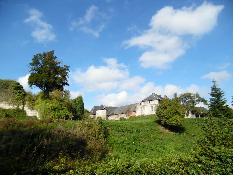 En passant par le bois de la Pleure - Fauguernon