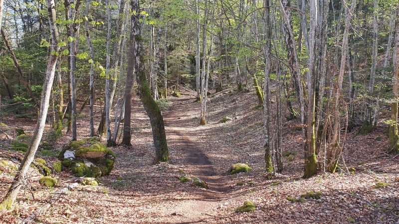 Semnoz : labyrinthes dans les petits sentiers techniques - Annecy