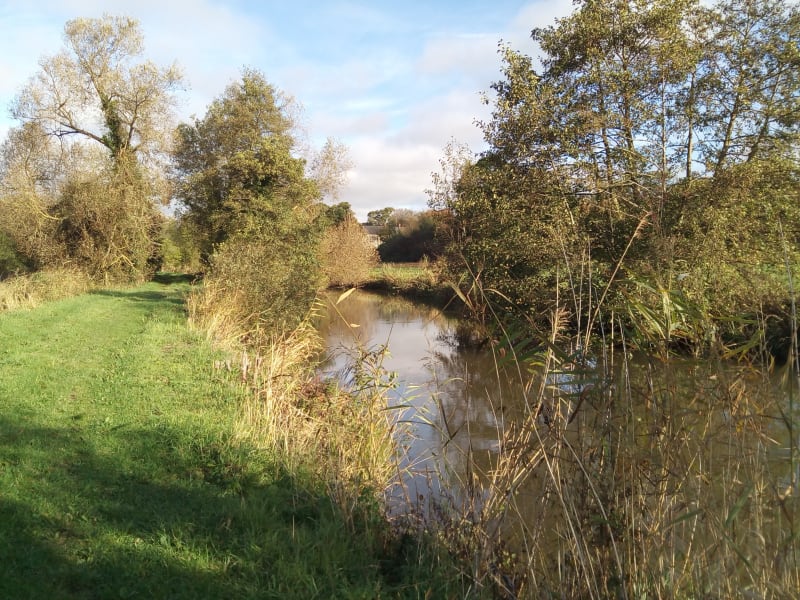 Virée champêtre au cœur des marais de Neuilly-la-Forêt - Isigny-sur-Mer (Neuilly-la-Forêt)