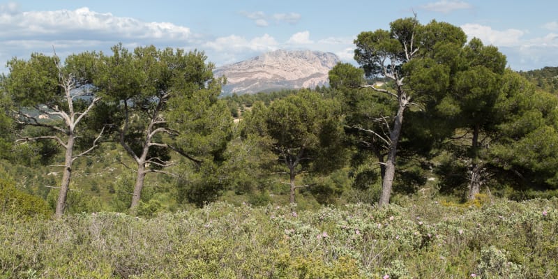 Sur les pas de Cézanne aux balcons d’Aix-en-Provence à VTT - Aix-en-Provence